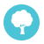 Icone Arbre